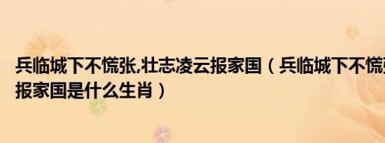 兵临城下不慌张,壮志凌云报家国（兵临城下不慌张壮志凌云报家国是什么生肖）