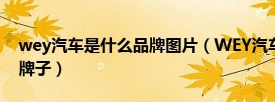 wey汽车是什么品牌图片（WEY汽车是什么牌子）