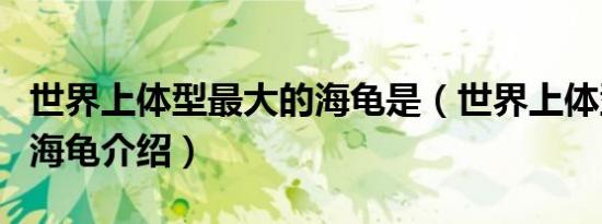 世界上体型最大的海龟是（世界上体型最大的海龟介绍）