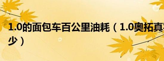 1.0的面包车百公里油耗（1.0奥拓真实油耗多少）