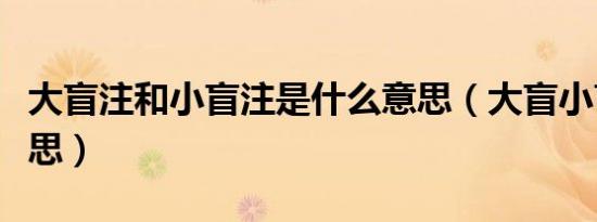 大盲注和小盲注是什么意思（大盲小盲什么意思）
