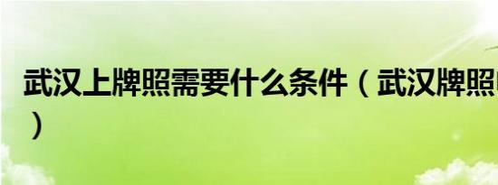 武汉上牌照需要什么条件（武汉牌照申请条件）