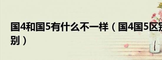 国4和国5有什么不一样（国4国5区别怎么识别）
