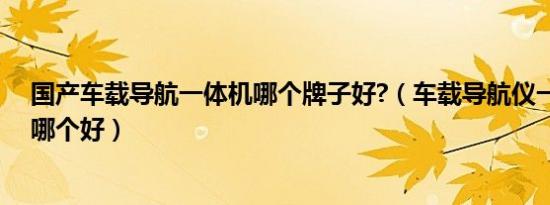 国产车载导航一体机哪个牌子好?（车载导航仪一体机品牌哪个好）
