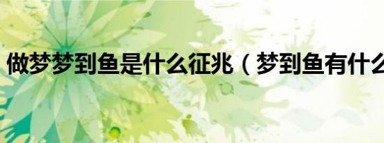做梦梦到鱼是什么征兆（梦到鱼有什么征兆）
