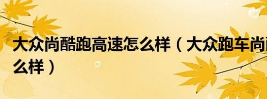 大众尚酷跑高速怎么样（大众跑车尚酷试驾怎么样）