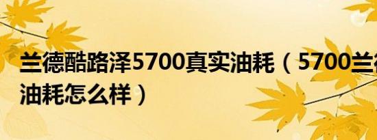 兰德酷路泽5700真实油耗（5700兰德酷路泽油耗怎么样）