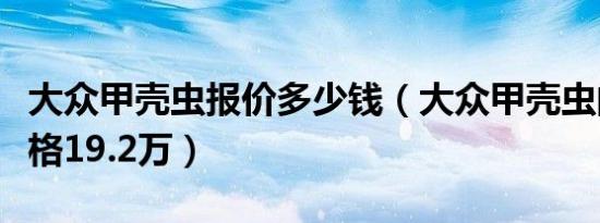 大众甲壳虫报价多少钱（大众甲壳虫的落地价格19.2万）