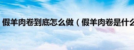 假羊肉卷到底怎么做（假羊肉卷是什么做的）
