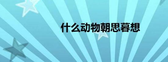 什么动物朝思暮想