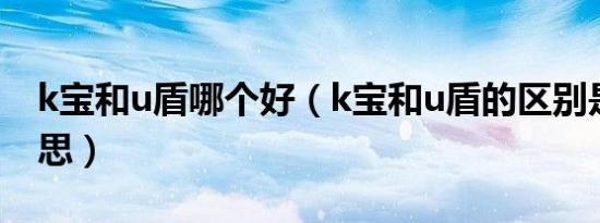 k宝和u盾哪个好（k宝和u盾的区别是什么意思）