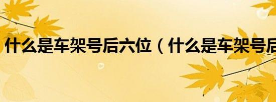 什么是车架号后六位（什么是车架号后六位）