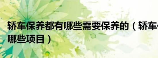 轿车保养都有哪些需要保养的（轿车保养都有哪些项目）