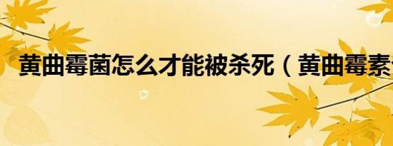 黄曲霉菌怎么才能被杀死（黄曲霉素介绍）