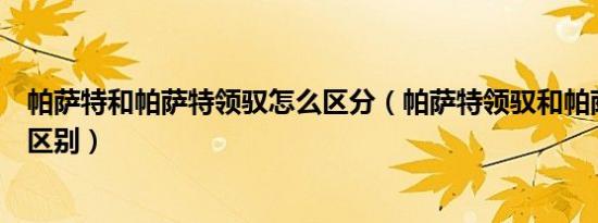 帕萨特和帕萨特领驭怎么区分（帕萨特领驭和帕萨特有什么区别）