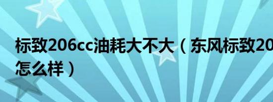 标致206cc油耗大不大（东风标致206cc油耗怎么样）