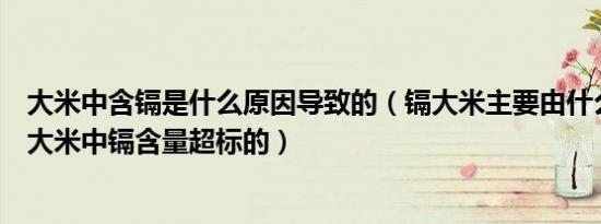 大米中含镉是什么原因导致的（镉大米主要由什么原因导致大米中镉含量超标的）