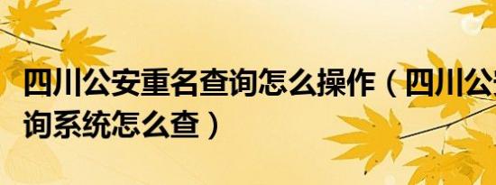 四川公安重名查询怎么操作（四川公安重名查询系统怎么查）