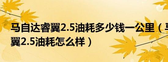 马自达睿翼2.5油耗多少钱一公里（马自达睿翼2.5油耗怎么样）