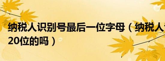 纳税人识别号最后一位字母（纳税人识别号有20位的吗）