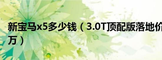 新宝马x5多少钱（3.0T顶配版落地价为94.97万）