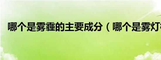 哪个是雾霾的主要成分（哪个是雾灯标志）