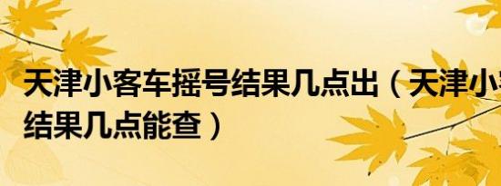 天津小客车摇号结果几点出（天津小客车摇号结果几点能查）