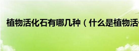 植物活化石有哪几种（什么是植物活化石）