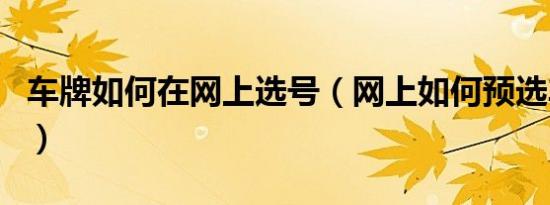 车牌如何在网上选号（网上如何预选车牌号码）
