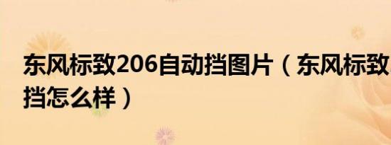 东风标致206自动挡图片（东风标致206自动挡怎么样）