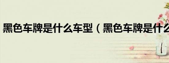 黑色车牌是什么车型（黑色车牌是什么车牌）