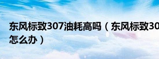 东风标致307油耗高吗（东风标致307油耗大怎么办）