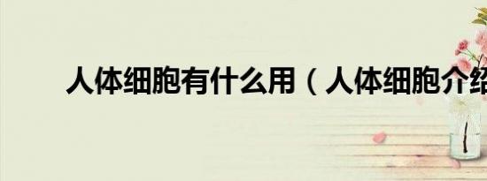 人体细胞有什么用（人体细胞介绍）