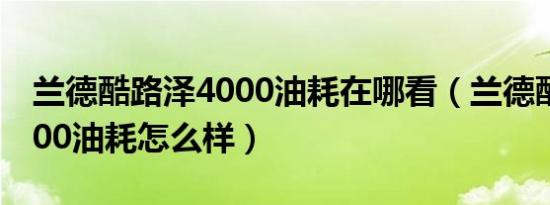 兰德酷路泽4000油耗在哪看（兰德酷路泽4000油耗怎么样）