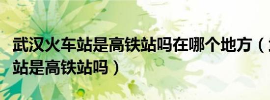 武汉火车站是高铁站吗在哪个地方（武汉火车站是高铁站吗）