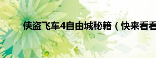 侠盗飞车4自由城秘籍（快来看看）