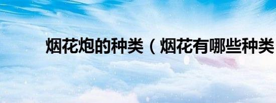 烟花炮的种类（烟花有哪些种类）