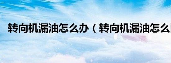 转向机漏油怎么办（转向机漏油怎么回事）