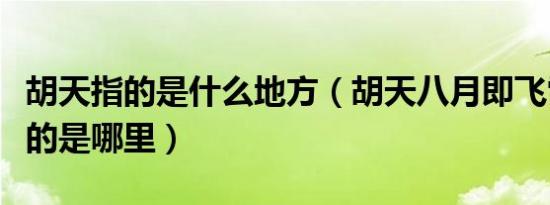 胡天指的是什么地方（胡天八月即飞雪胡天指的是哪里）