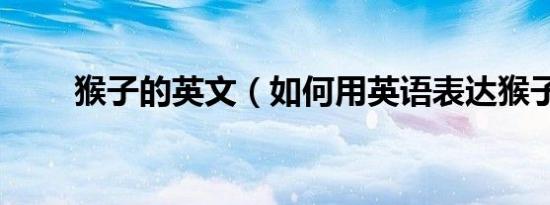 猴子的英文（如何用英语表达猴子）