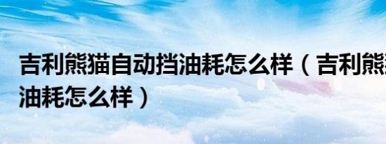 吉利熊猫自动挡油耗怎么样（吉利熊猫自动挡油耗怎么样）
