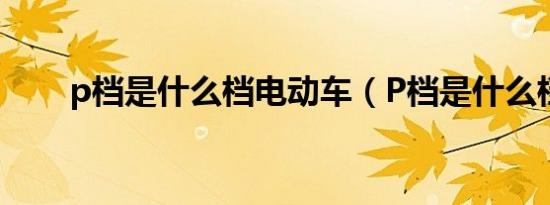 p档是什么档电动车（P档是什么档）
