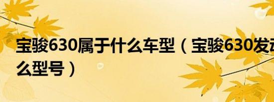 宝骏630属于什么车型（宝骏630发动机是什么型号）