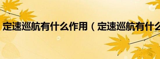 定速巡航有什么作用（定速巡航有什么作用）