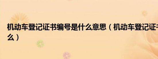 机动车登记证书编号是什么意思（机动车登记证书编号是什么）