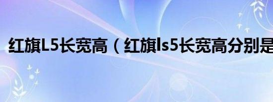 红旗L5长宽高（红旗ls5长宽高分别是多少）