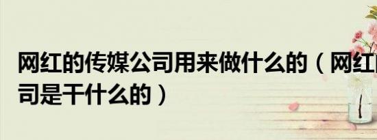 网红的传媒公司用来做什么的（网红的传媒公司是干什么的）