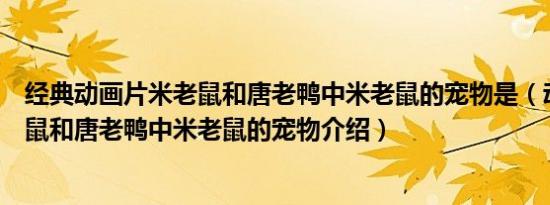 经典动画片米老鼠和唐老鸭中米老鼠的宠物是（动画片米老鼠和唐老鸭中米老鼠的宠物介绍）