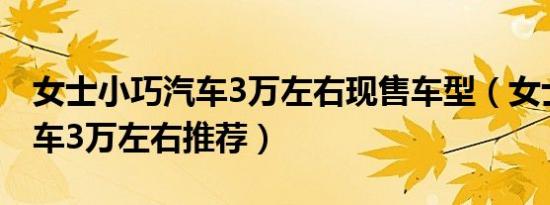 女士小巧汽车3万左右现售车型（女士小巧汽车3万左右推荐）