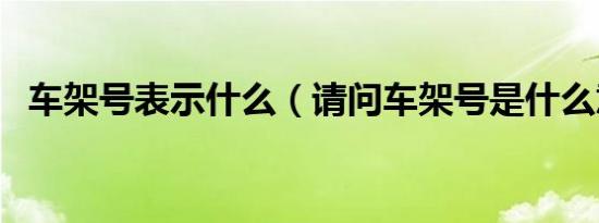 车架号表示什么（请问车架号是什么意思）